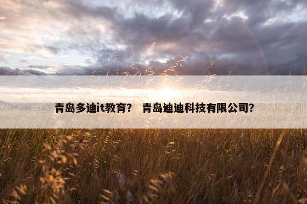 青岛多迪it教育？ 青岛迪迪科技有限公司？