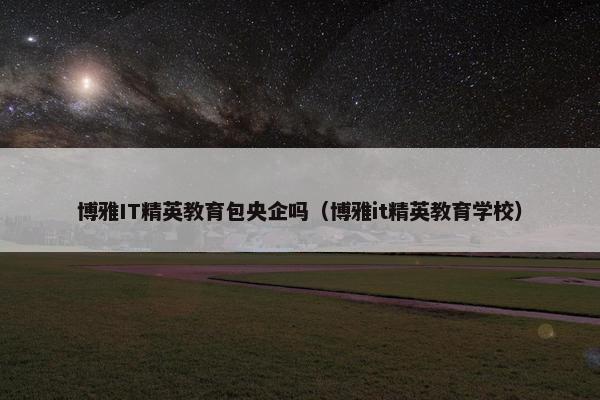 博雅IT精英教育包央企吗（博雅it精英教育学校）