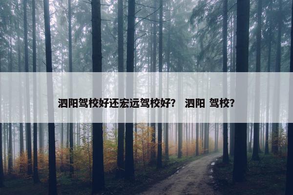 泗阳驾校好还宏远驾校好？ 泗阳 驾校？