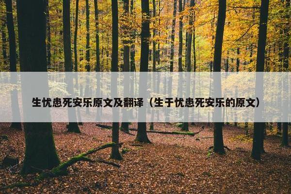 生忧患死安乐原文及翻译（生于忧患死安乐的原文）