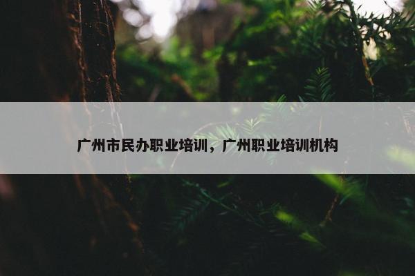 广州市民办职业培训，广州职业培训机构