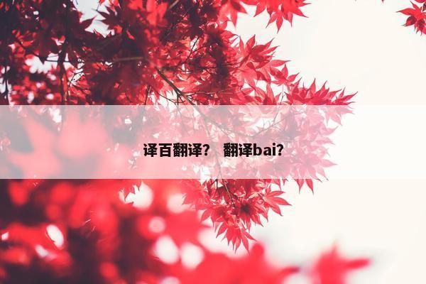 译百翻译？ 翻译bai？