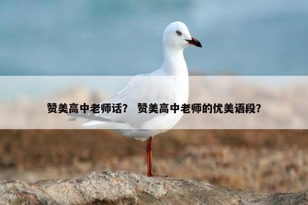 赞美高中老师话？ 赞美高中老师的优美语段？