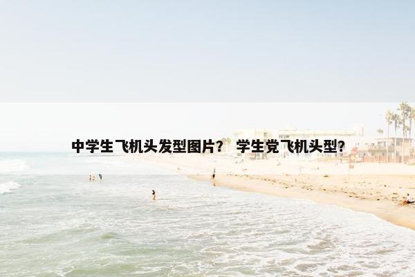 中学生飞机头发型图片？ 学生党飞机头型？