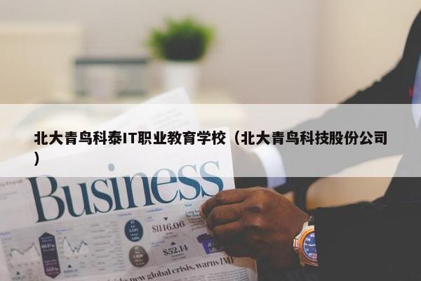 北大青鸟科泰IT职业教育学校（北大青鸟科技股份公司）