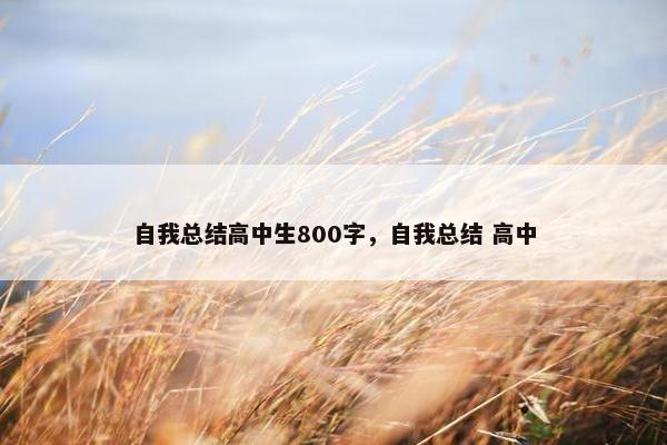 自我总结高中生800字，自我总结 高中