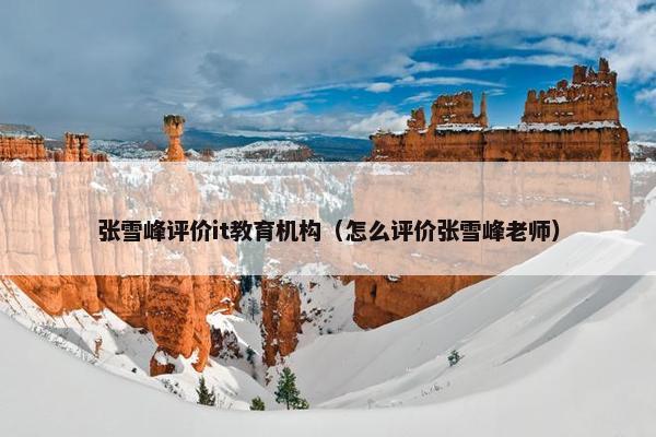 张雪峰评价it教育机构(怎么评价张雪峰老师) 张雪峰评价it教育机构(怎么评价张雪峰老师)