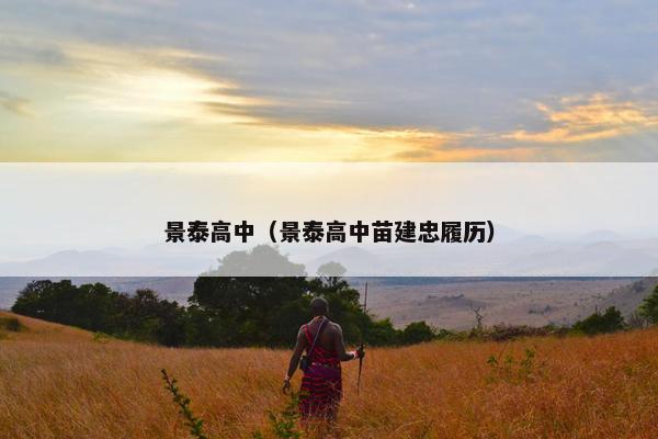 景泰高中（景泰高中苗建忠履历）