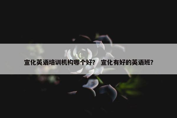 宣化英语培训机构哪个好？ 宣化有好的英语班？