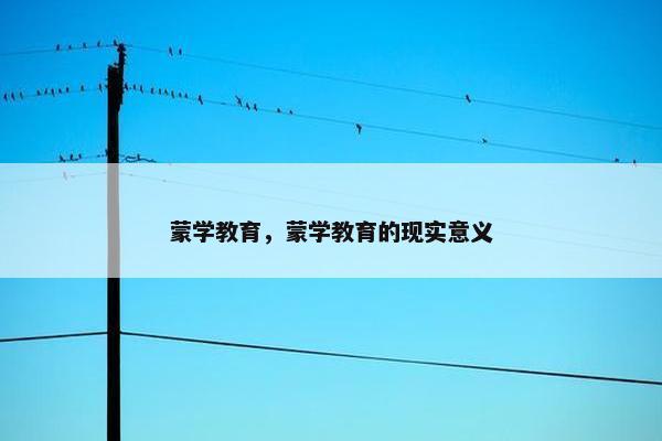 蒙学教育，蒙学教育的现实意义