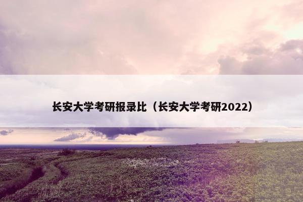长安大学考研报录比（长安大学考研2022）