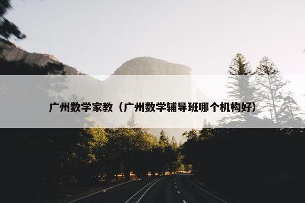 广州数学家教（广州数学辅导班哪个机构好）