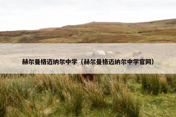 赫尔曼格迈纳尔中学（赫尔曼格迈纳尔中学官网）