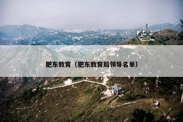 肥东教育（肥东教育局领导名单）