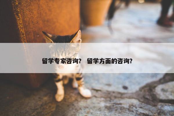 留学专家咨询？ 留学方面的咨询？