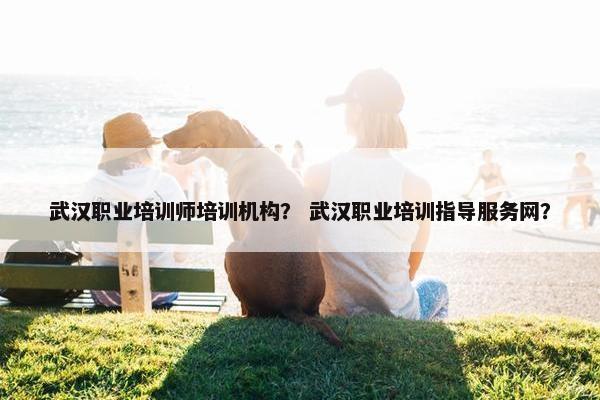 武汉职业培训师培训机构？ 武汉职业培训指导服务网？
