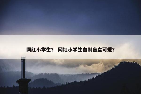 网红小学生？ 网红小学生自制盲盒可爱？