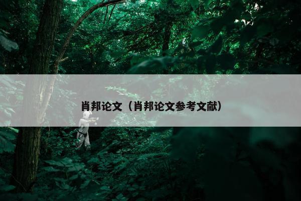 肖邦论文（肖邦论文参考文献）