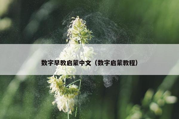 数字早教启蒙中文（数字启蒙教程）