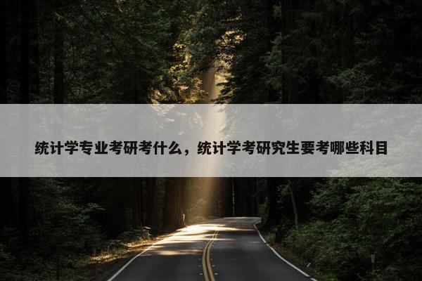 统计学专业考研考什么，统计学考研究生要考哪些科目