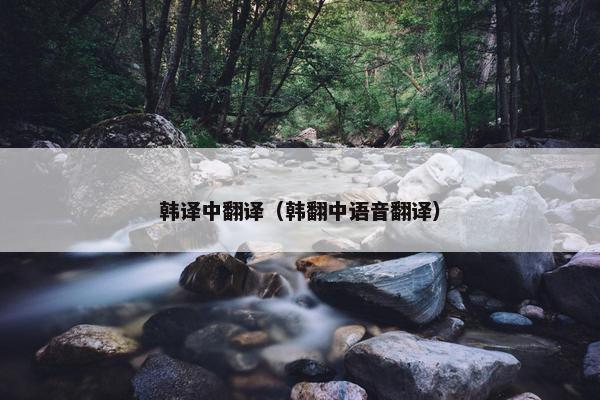韩译中翻译（韩翻中语音翻译）
