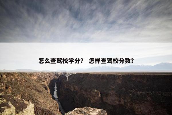 怎么查驾校学分？ 怎样查驾校分数？