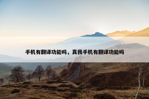 手机有翻译功能吗，真我手机有翻译功能吗