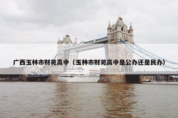 广西玉林市财苑高中（玉林市财苑高中是公办还是民办）