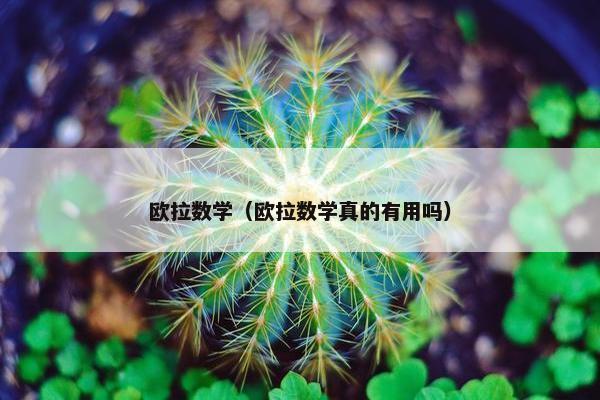欧拉数学（欧拉数学真的有用吗）