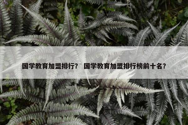 国学教育加盟排行？ 国学教育加盟排行榜前十名？