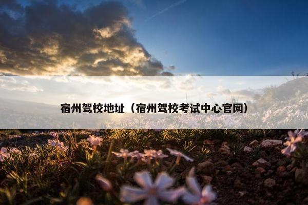 宿州驾校地址（宿州驾校考试中心官网）