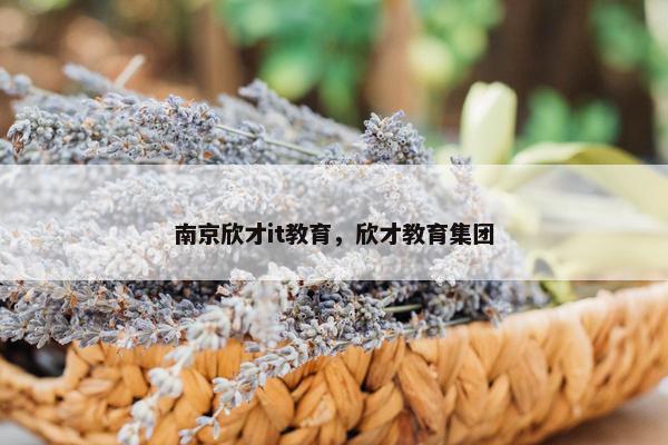 南京欣才it教育，欣才教育集团