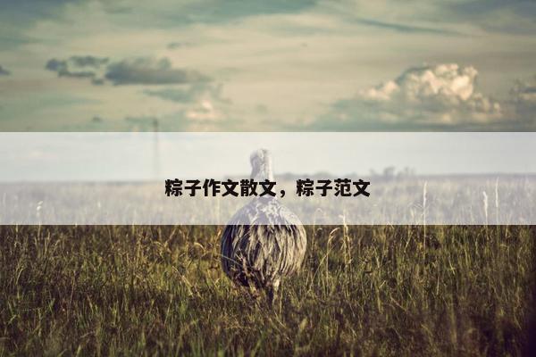 粽子作文散文，粽子范文