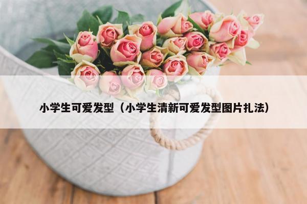 小学生可爱发型（小学生清新可爱发型图片扎法）