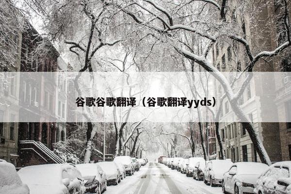 谷歌谷歌翻译（谷歌翻译yyds）