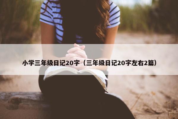 小学三年级日记20字（三年级日记20字左右2篇）
