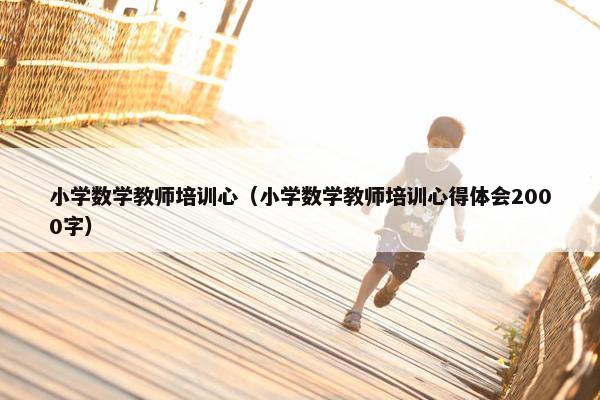 小学数学教师培训心（小学数学教师培训心得体会2000字）