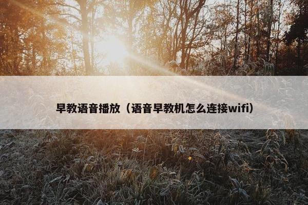 早教语音播放（语音早教机怎么连接wifi）