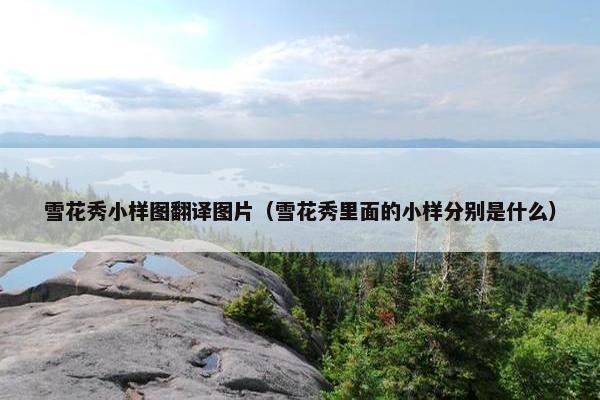 雪花秀小样图翻译图片（雪花秀里面的小样分别是什么）