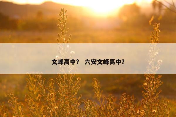 文峰高中？ 六安文峰高中？