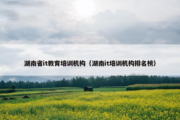 湖南省it教育培训机构（湖南it培训机构排名榜）