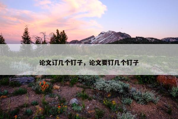 论文订几个钉子，论文要钉几个钉子