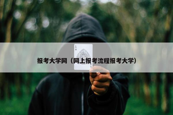 报考大学网（网上报考流程报考大学）
