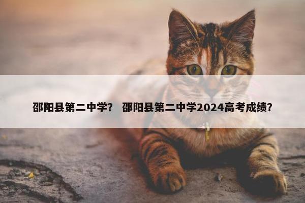 邵阳县第二中学？ 邵阳县第二中学2024高考成绩？