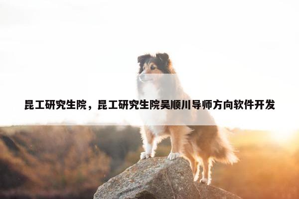 昆工研究生院，昆工研究生院吴顺川导师方向软件开发