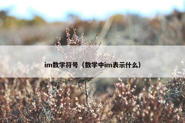 im数学符号（数学中im表示什么）