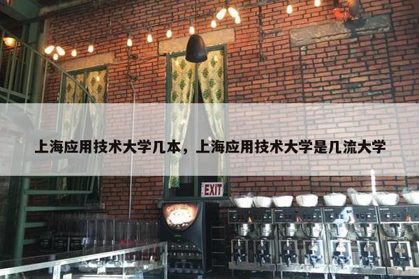 上海应用技术大学几本，上海应用技术大学是几流大学