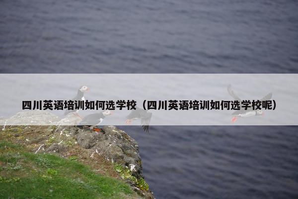 四川英语培训如何选学校（四川英语培训如何选学校呢）