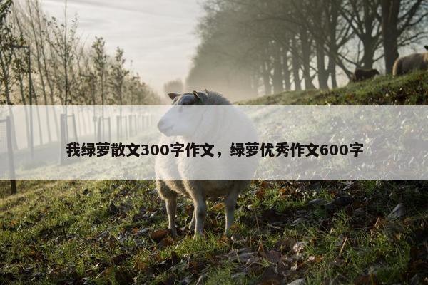 我绿萝散文300字作文，绿萝优秀作文600字