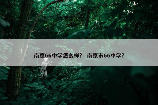 南京66中学怎么样？ 南京市66中学？